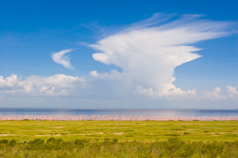 Clouds Above Lesser Flamingos And Lake Manyara